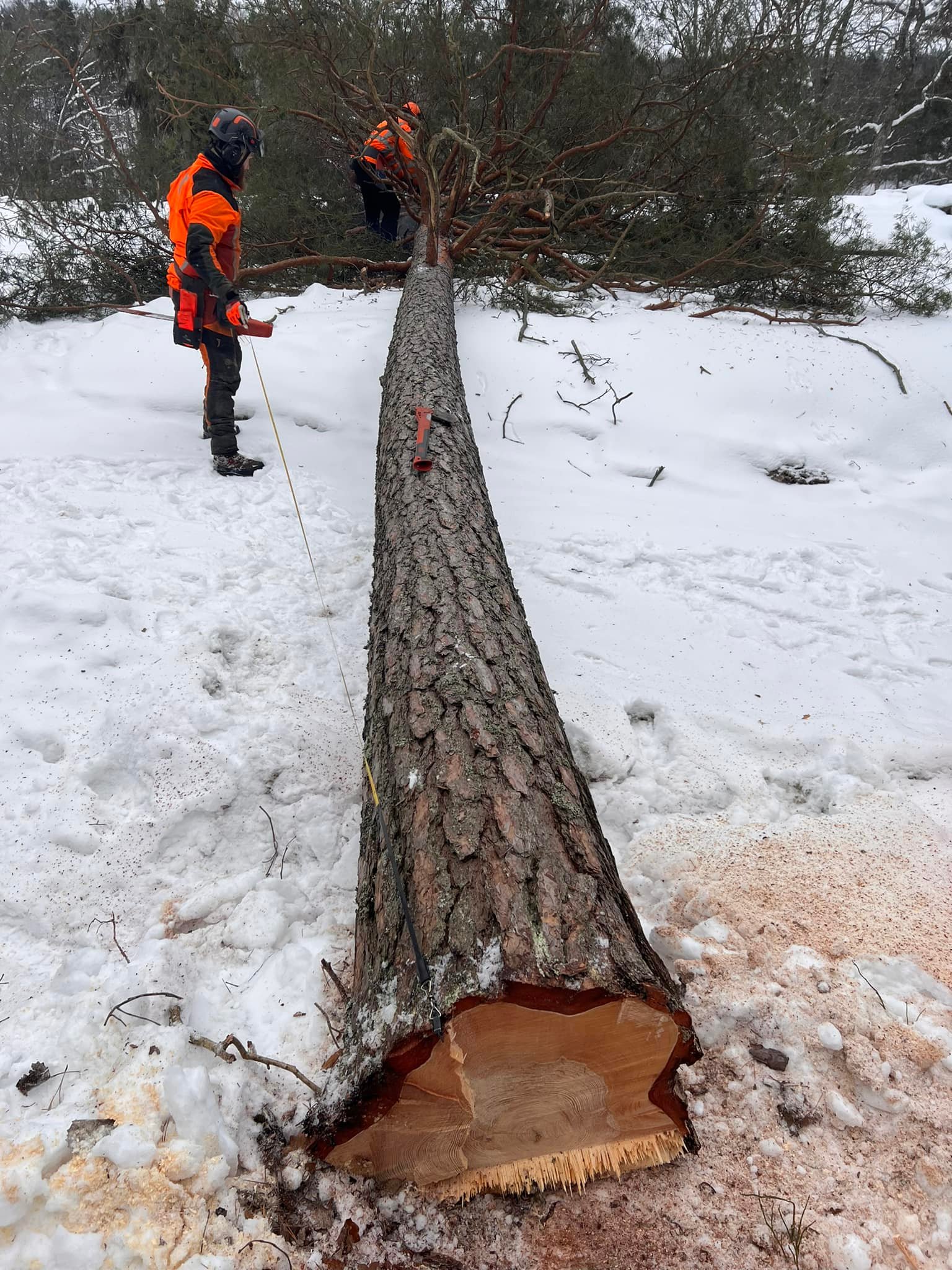 Vinterunderhållning